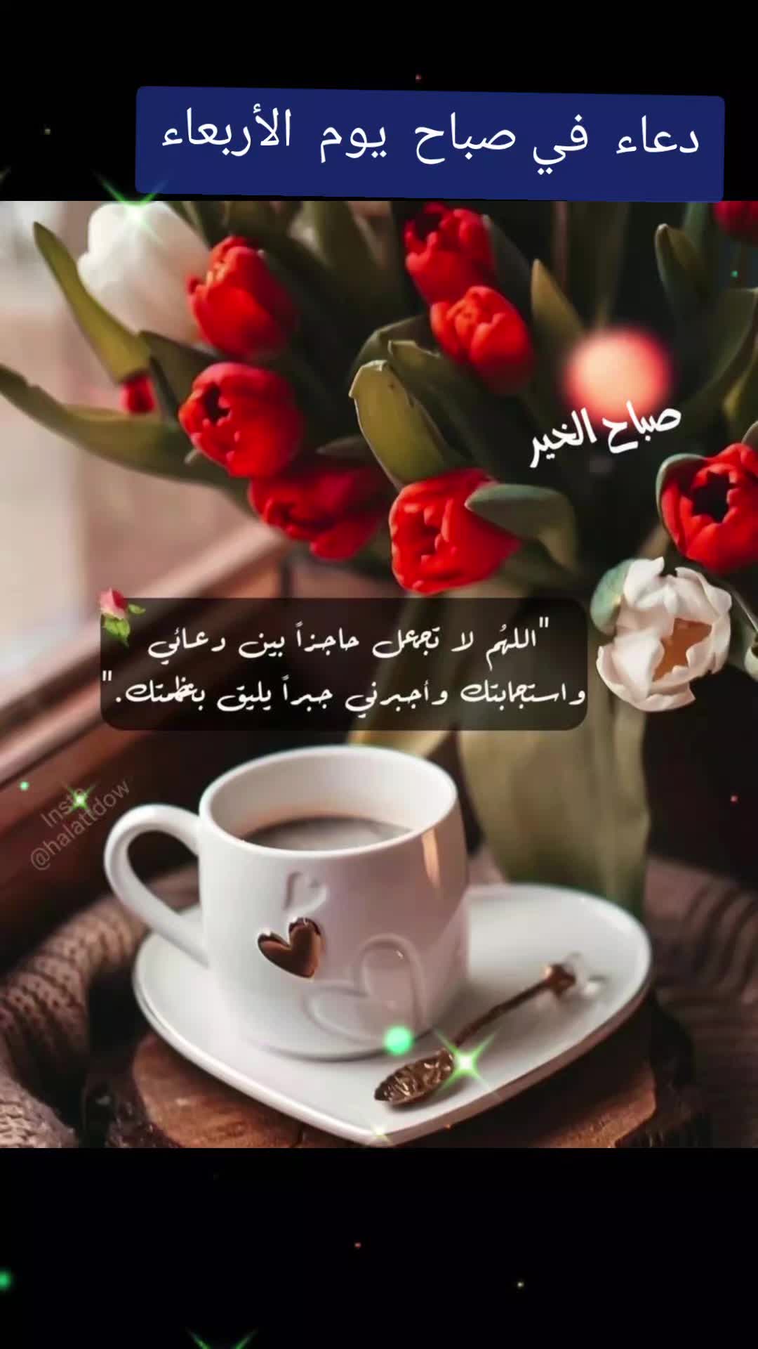 @حديقة الورد🌷🌷