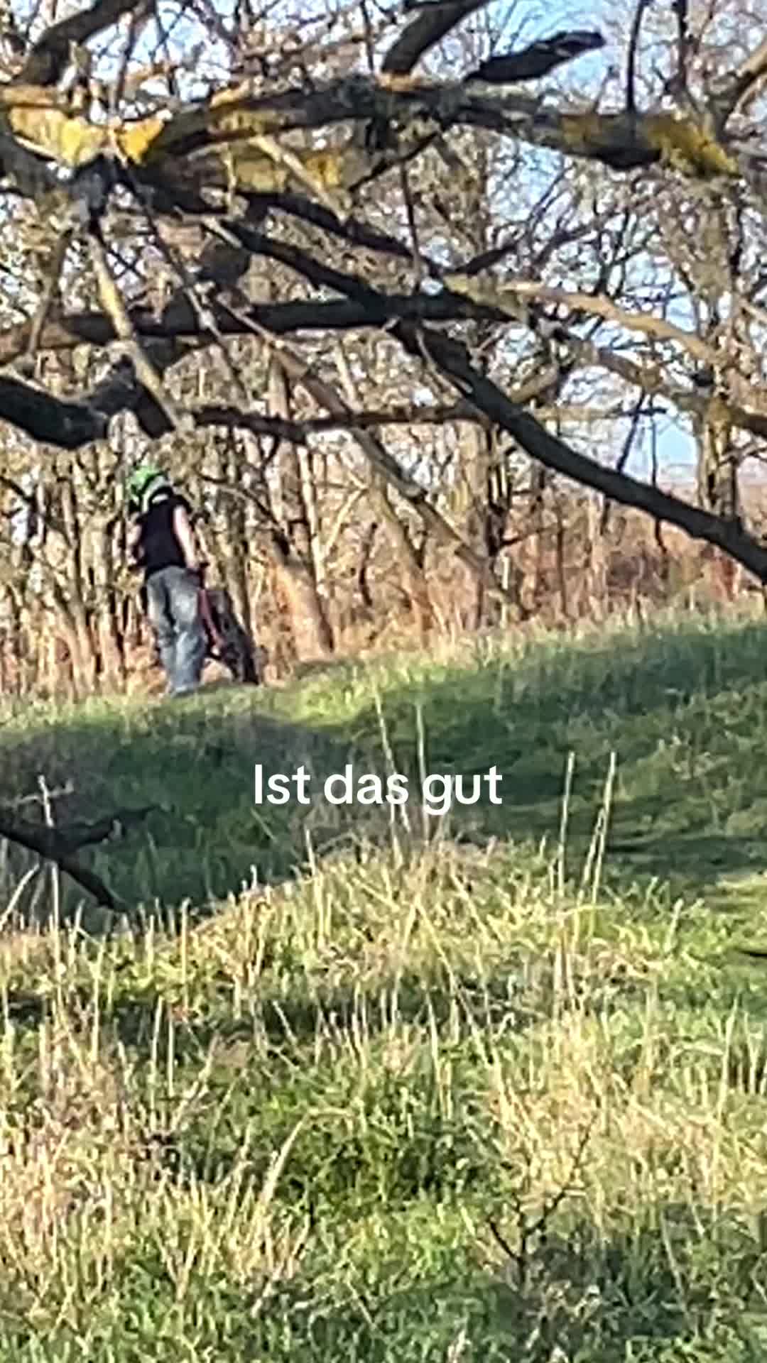 @Mtb.Ivo