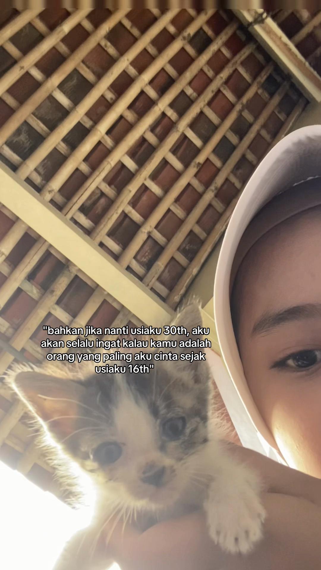 @tamaa