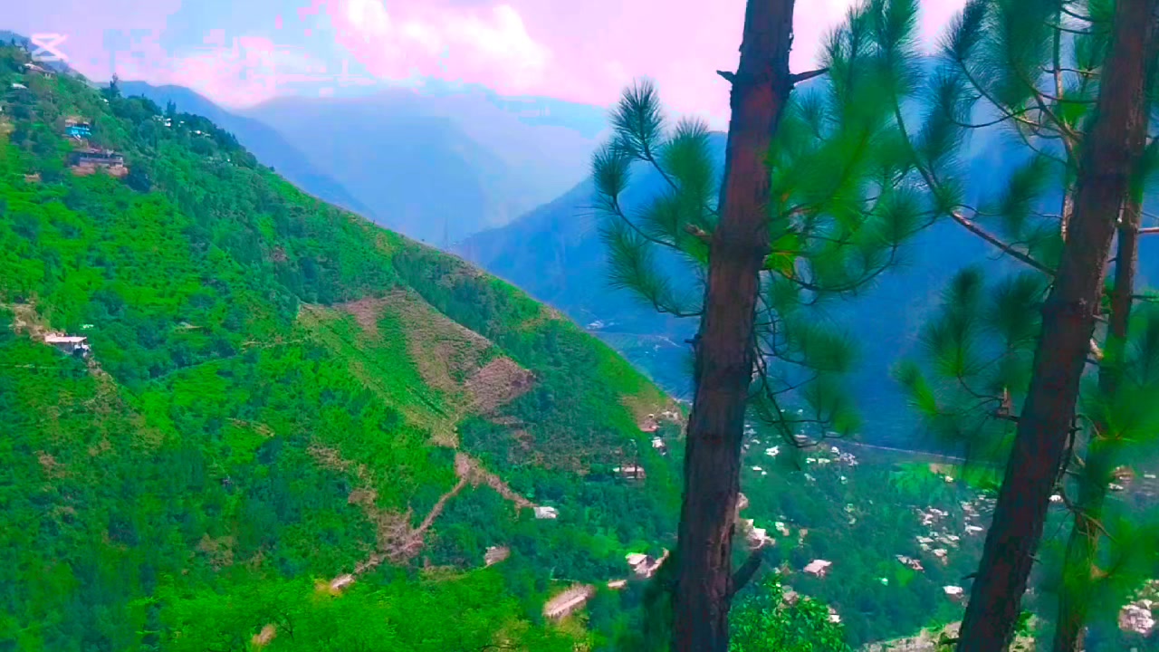 @تقیہ شہزادی❤