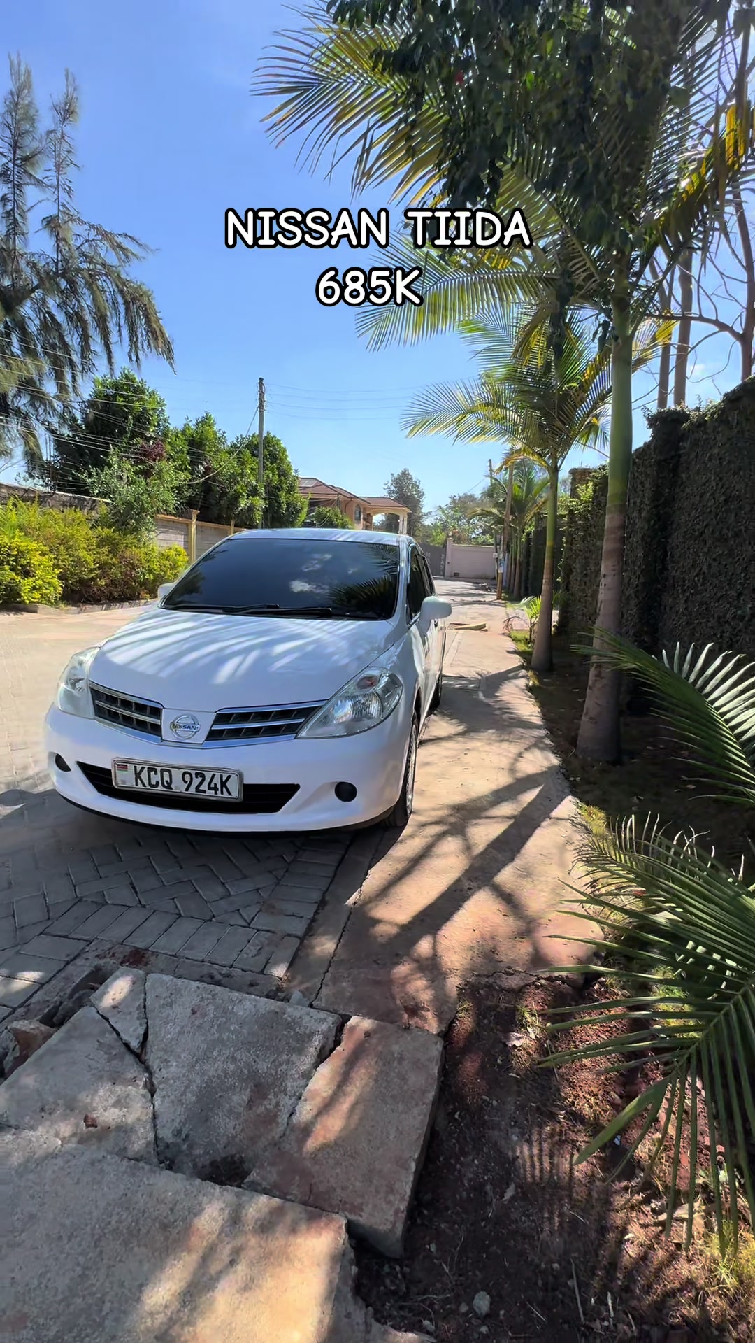 @Hashi Cars
