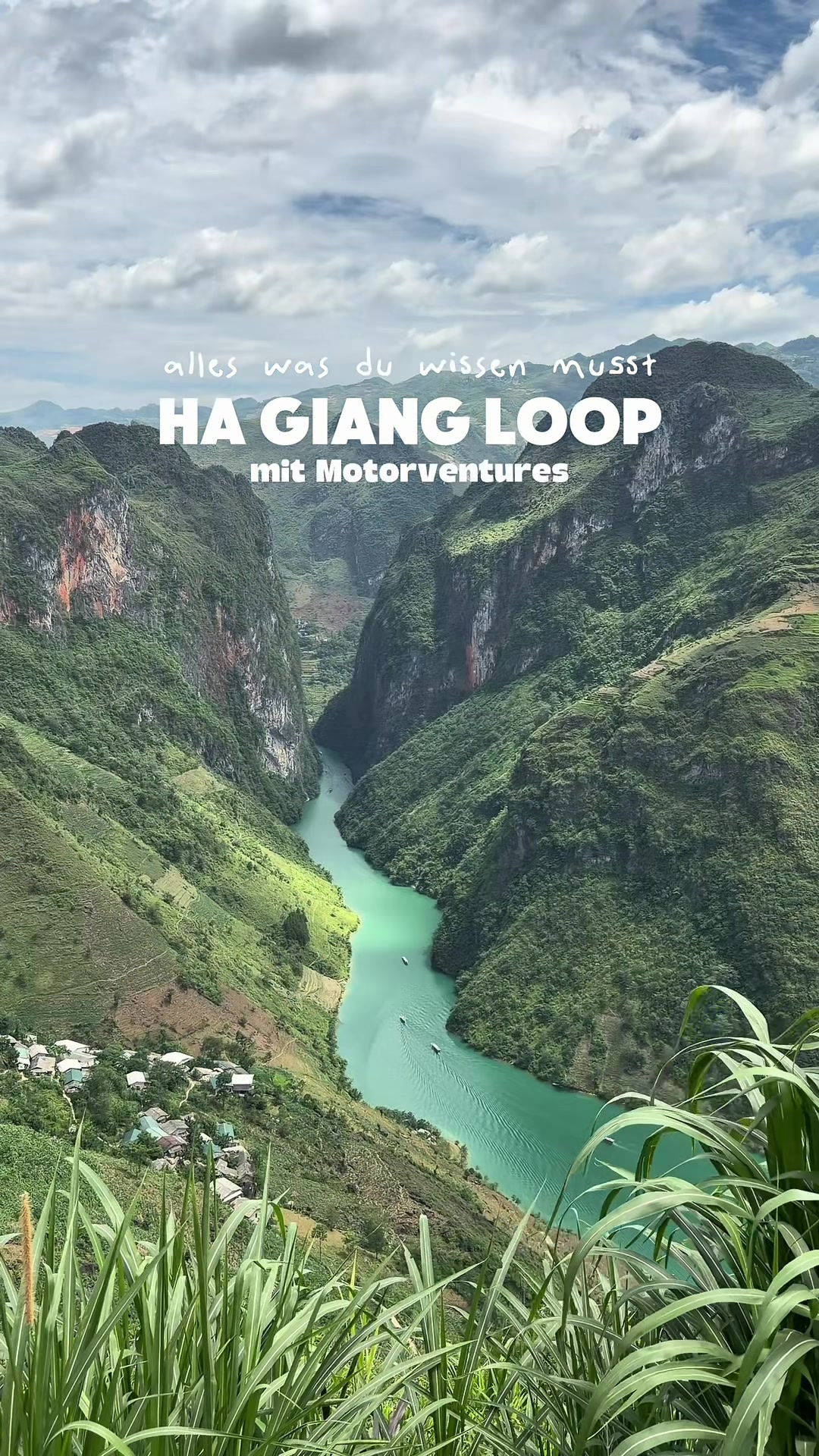 @Mineia 🌺 vegan travel