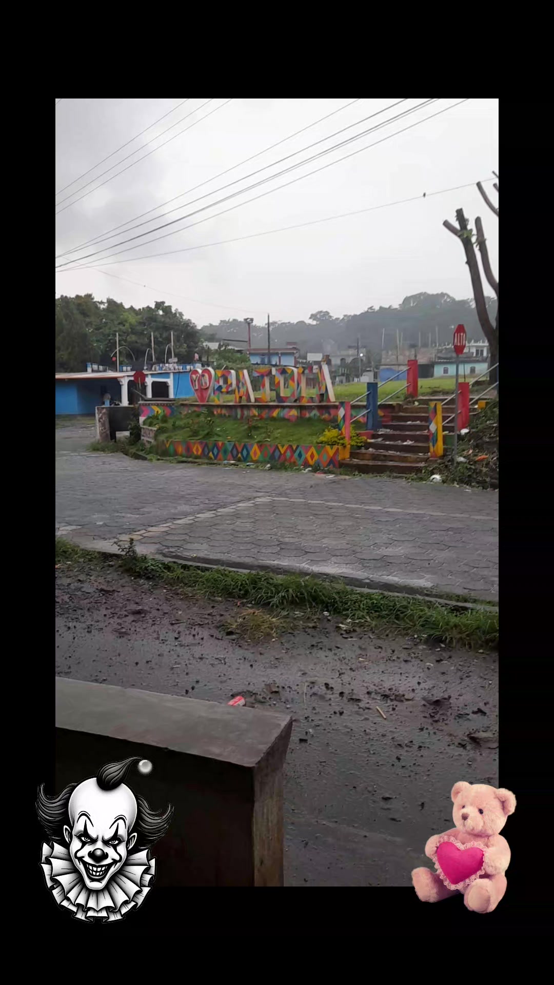 @elias macario