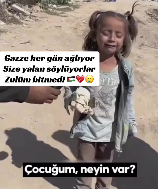 @ibrahimhalil2727