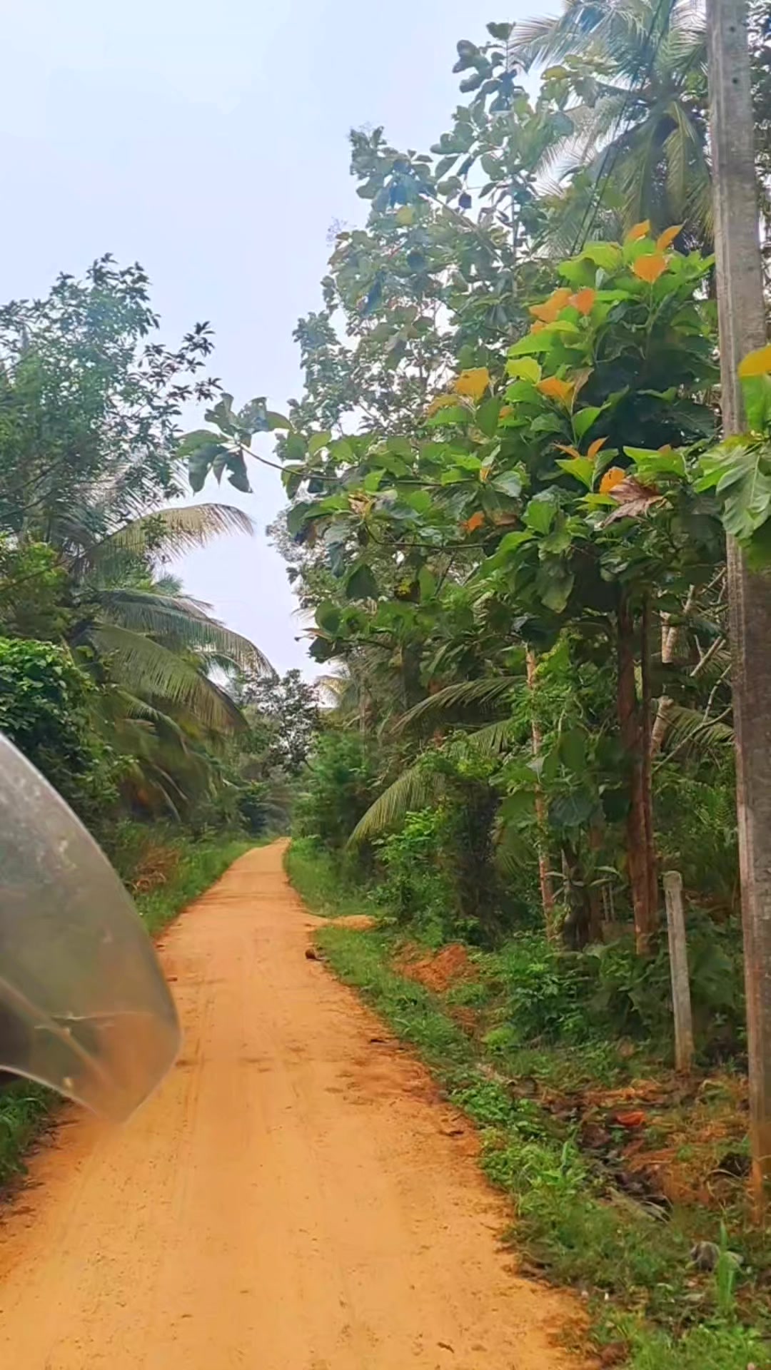 @❤️🤩උමාශි🤩❤️