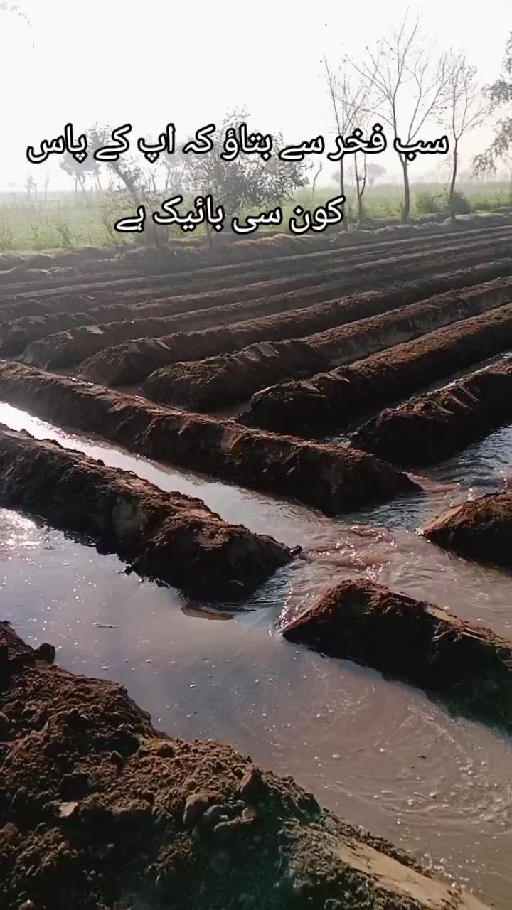 @Ray 🐅. amran 222🇵🇰🥷🐅❤️💯