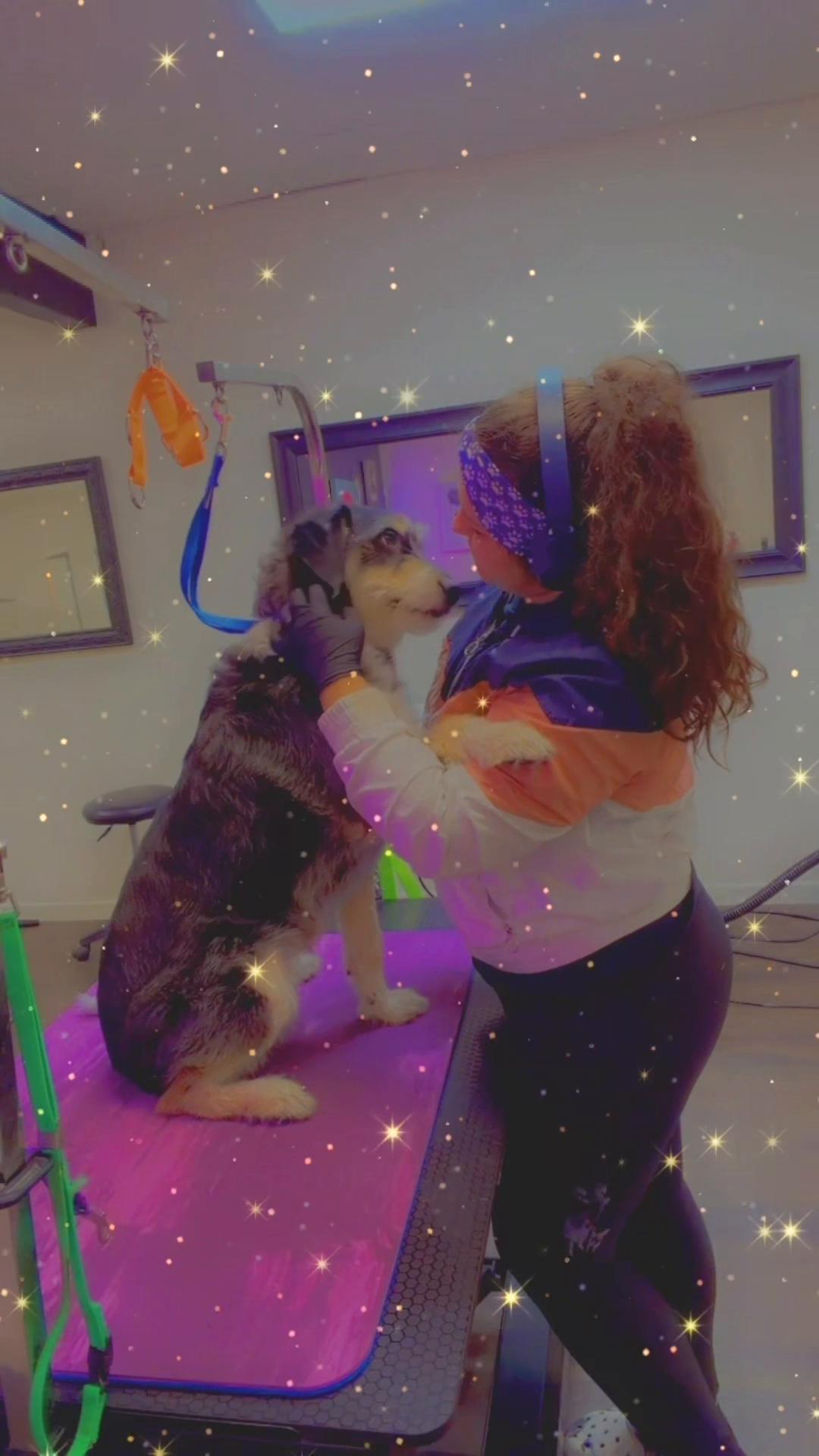 @DIRTY.PAWS.PETSALON