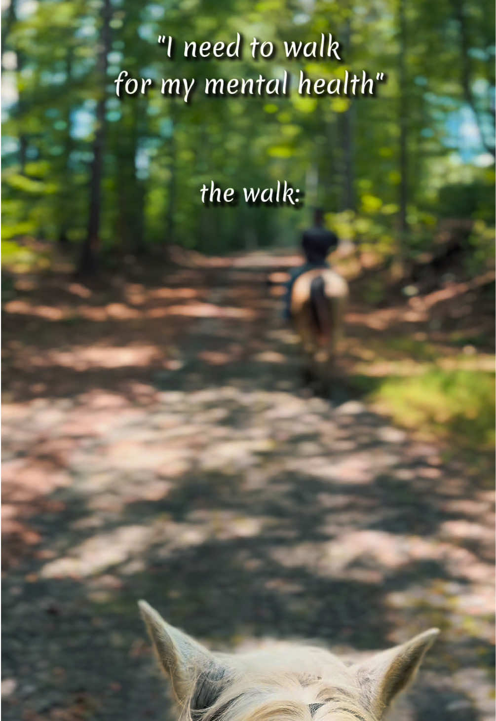 @Rogue Reins