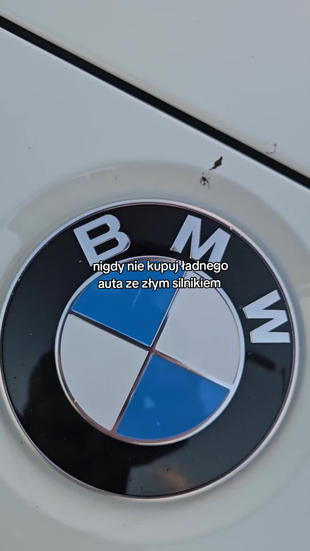 @Kacper