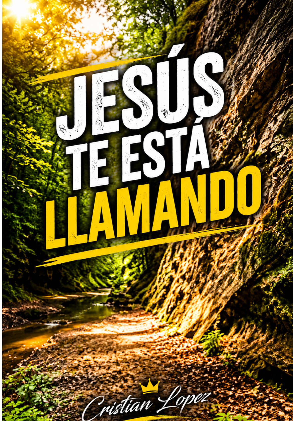 @Cristian Lopez