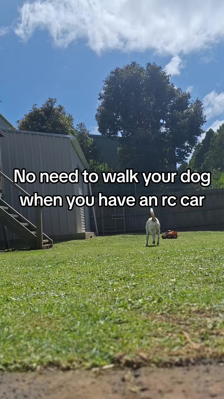 @Banjo