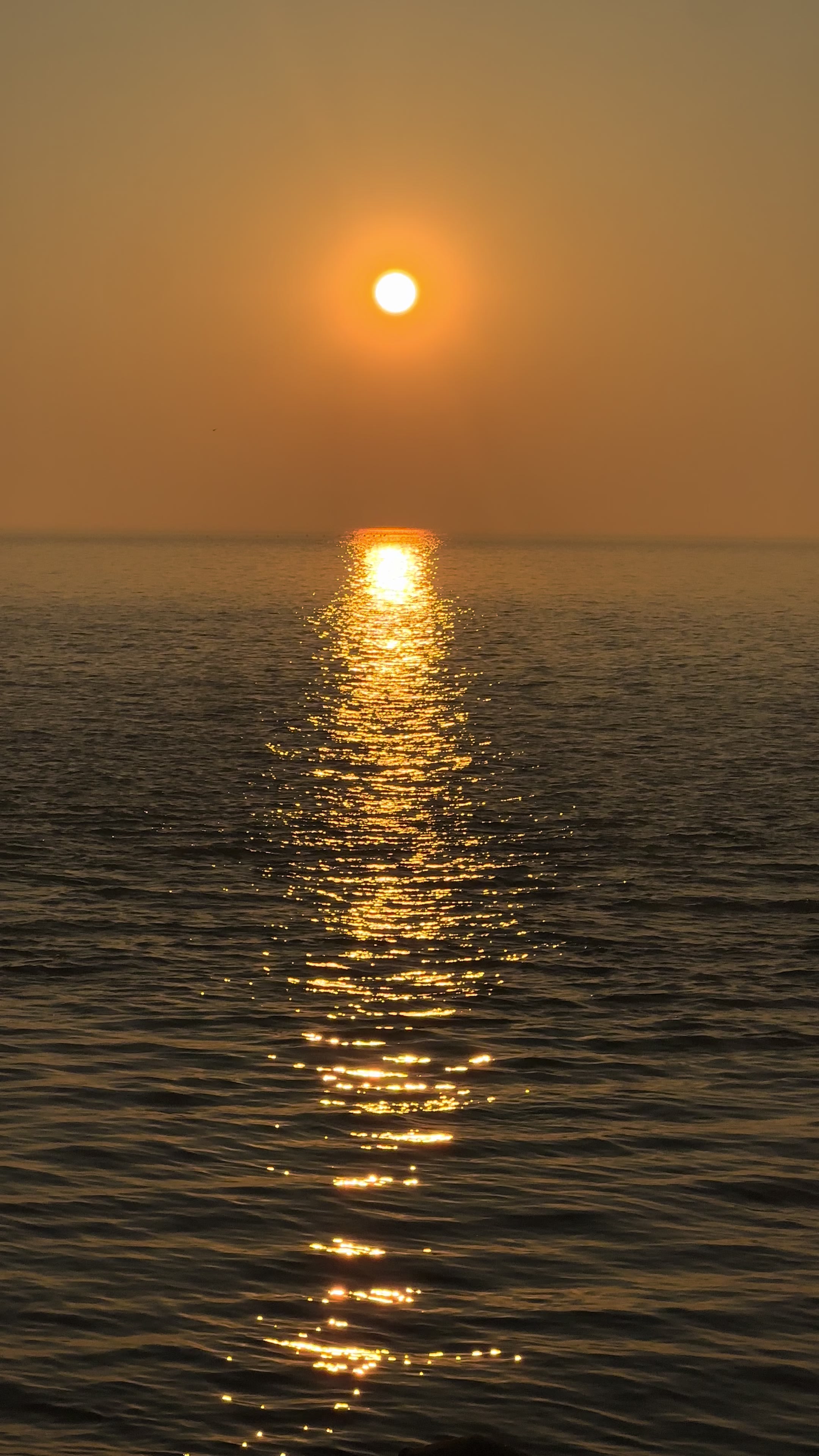@간장게장