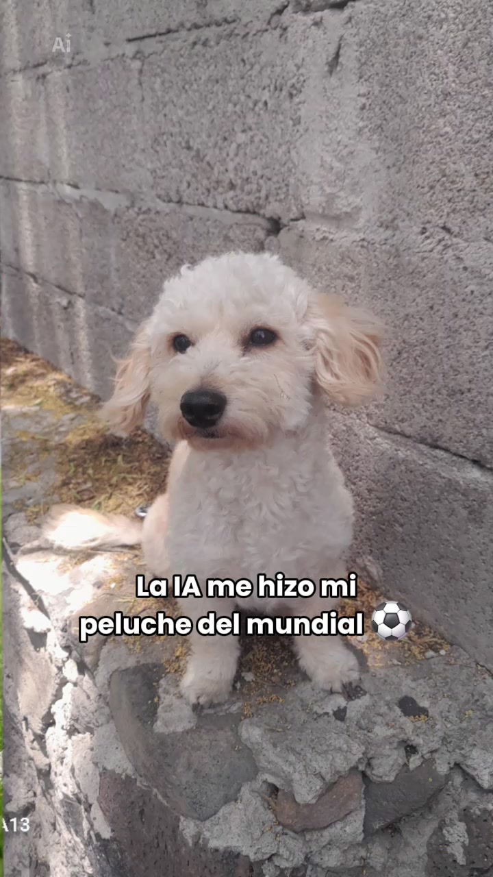 @cachorro 444