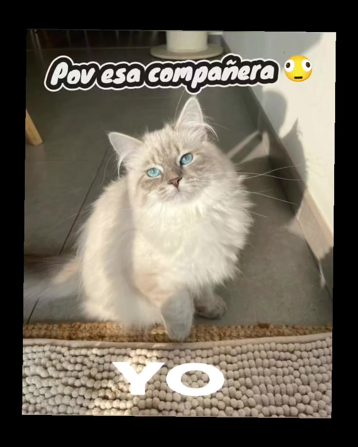 @Enrique Said