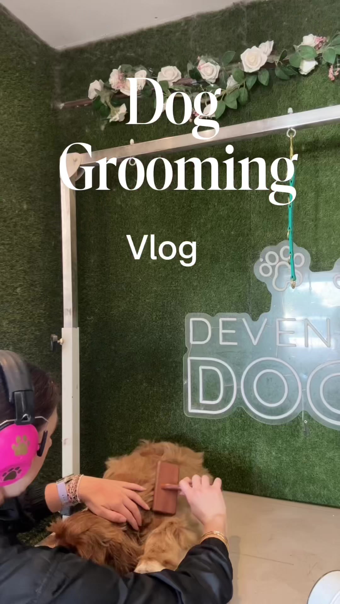 @DevenickDogs