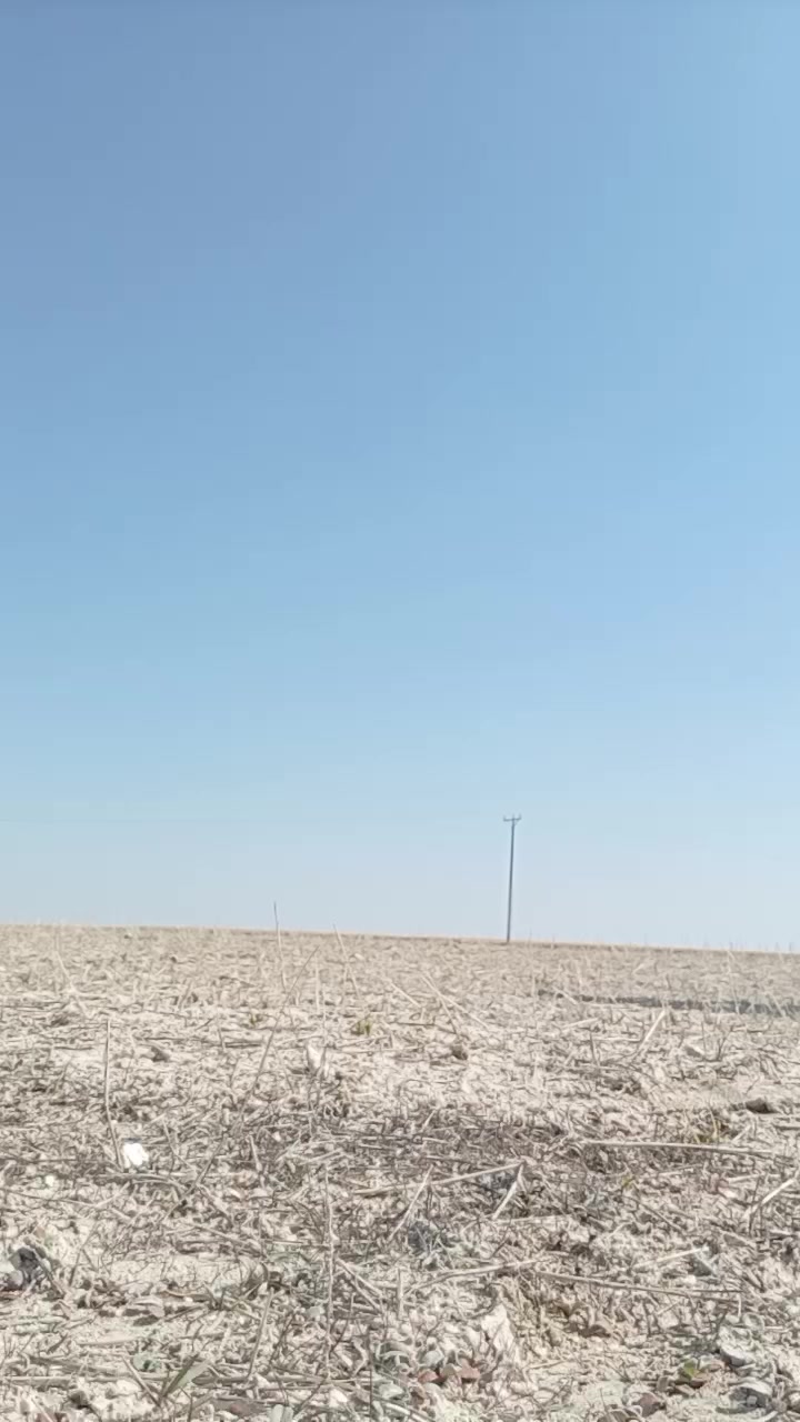 @motorcukız4242