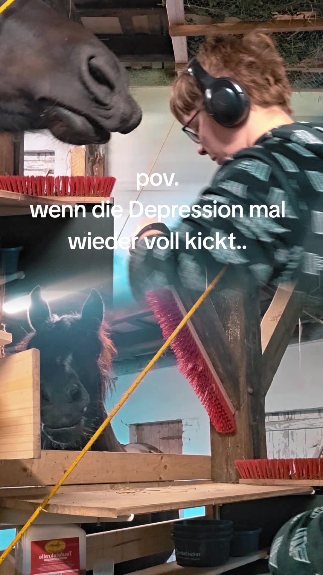@die_van_fresserinchens