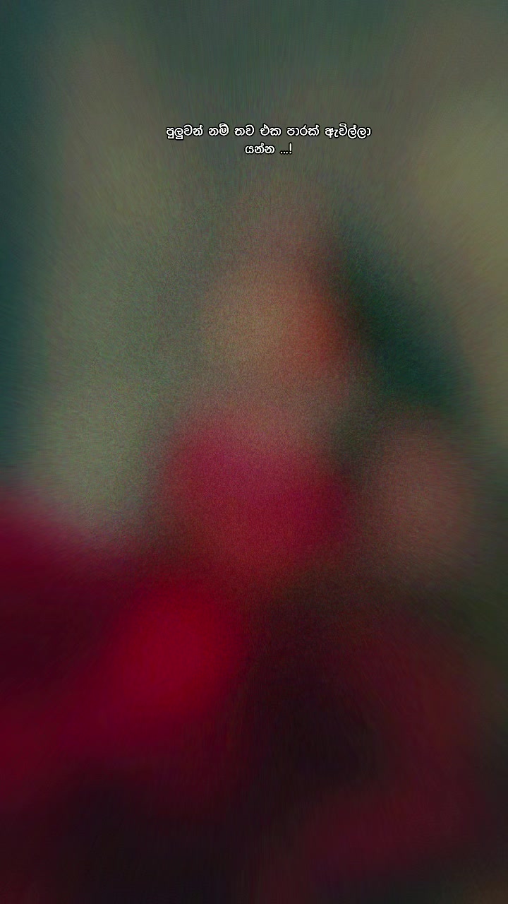@🤍🦋_V_I_B_U_🦋🤍
