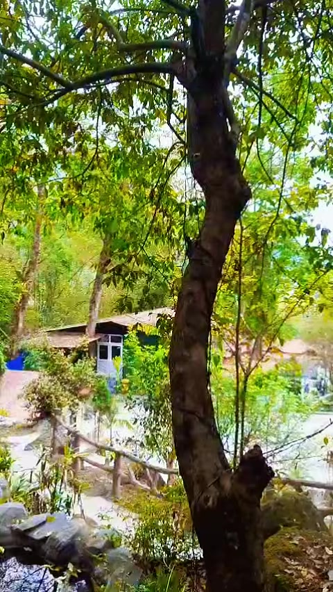 @sumit 🕉🔱🧿✨️⚛️