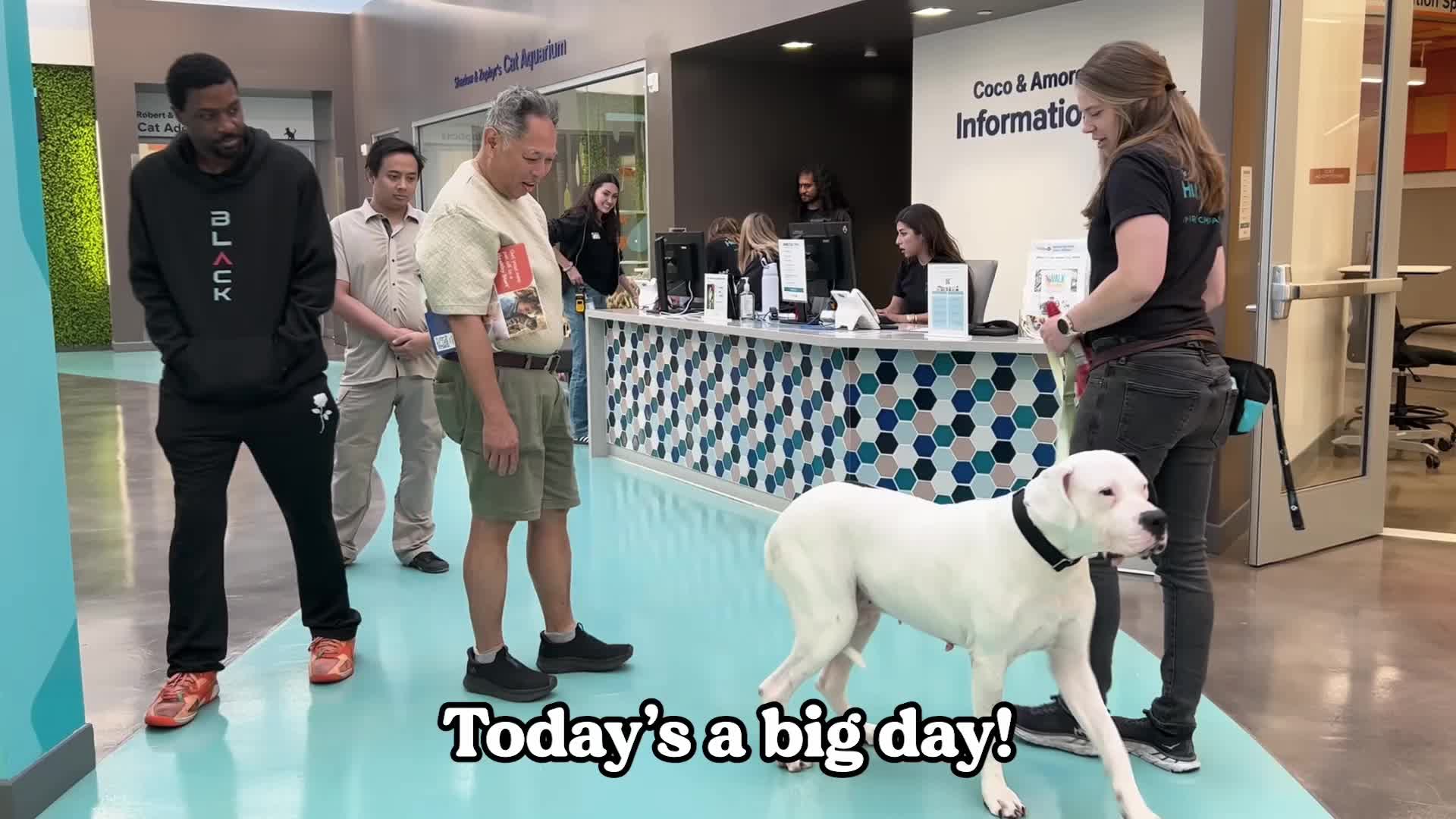 @San Diego Humane Society