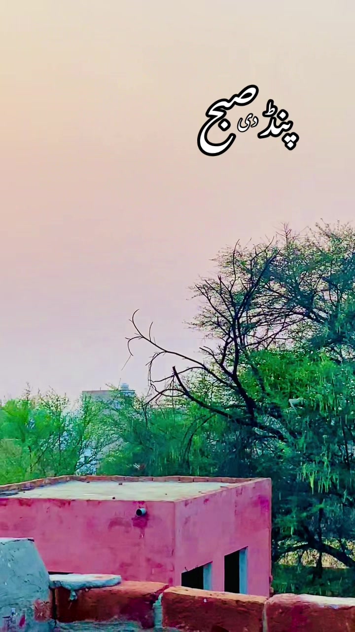@🥀🌾 پنجابی کلچر 🥀🌾