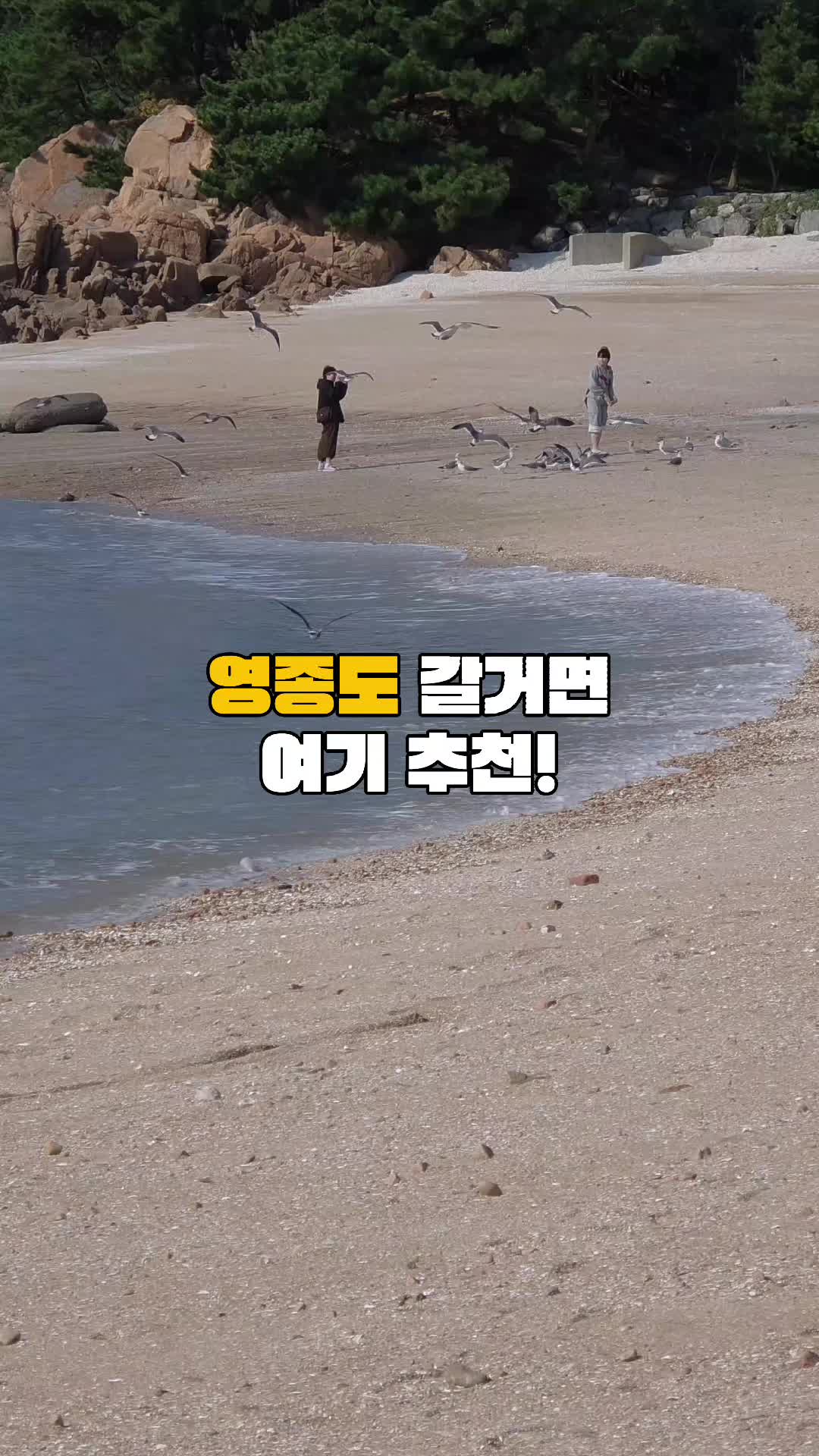 @동네에디터