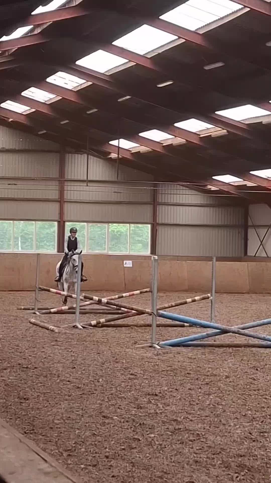 @horses.by.Britt:)