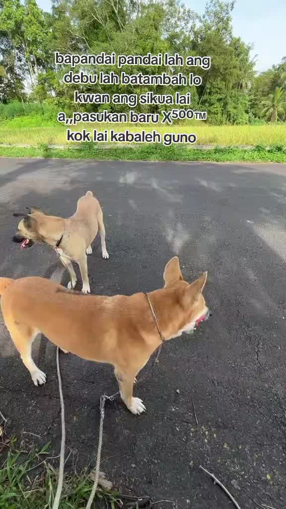 @X⁵⁰⁰&trade;👾⚡🐾
