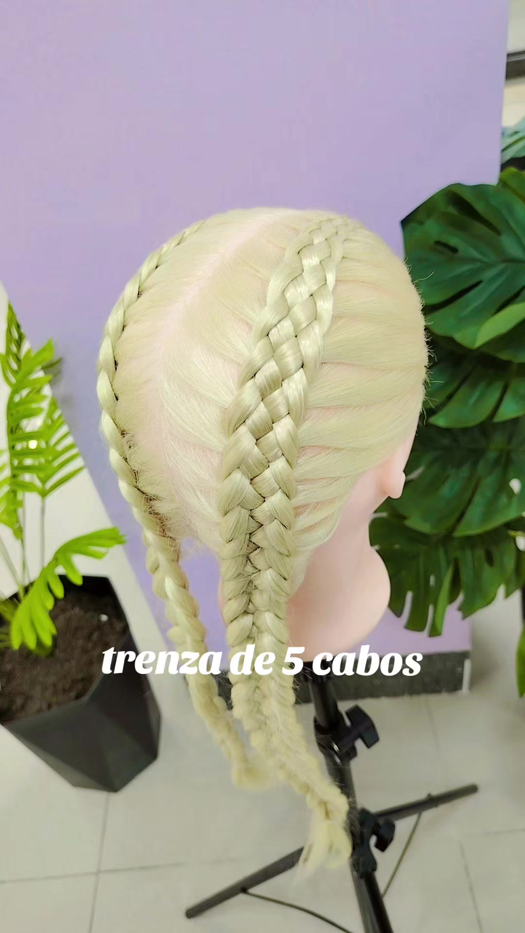 @Rebeca Sillo