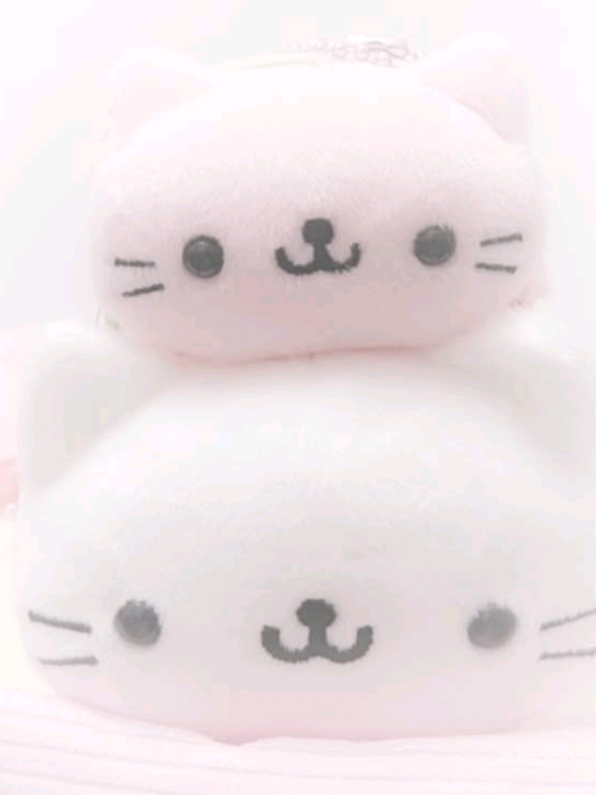 @compy⁸ ᓀ‸ᓂ