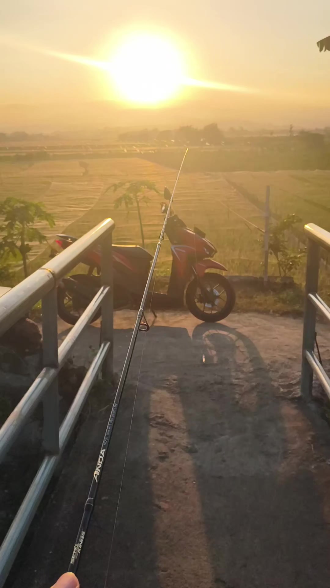 @Bambs88🇮🇩🇳🇱