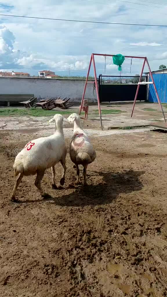 @Ramazan G&uuml;ltekin