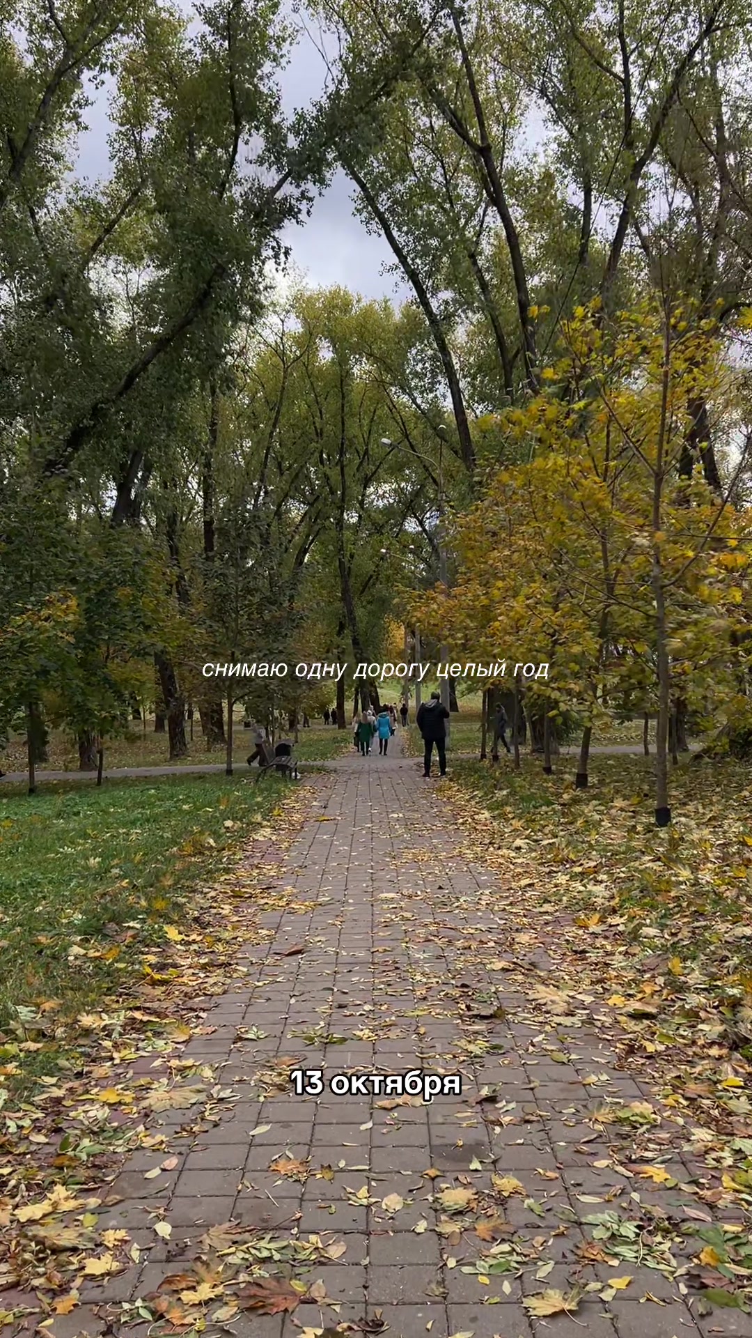 @саша 🍸