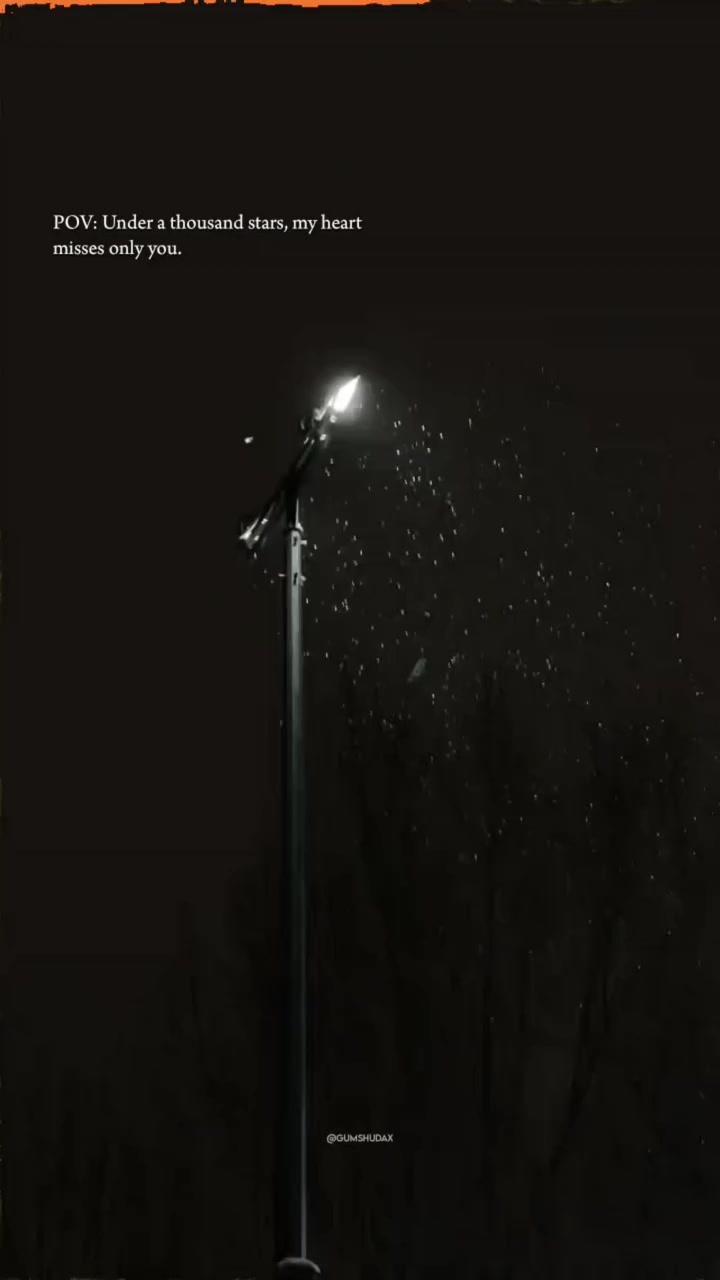@아즈하르 𓆩♡𓆪