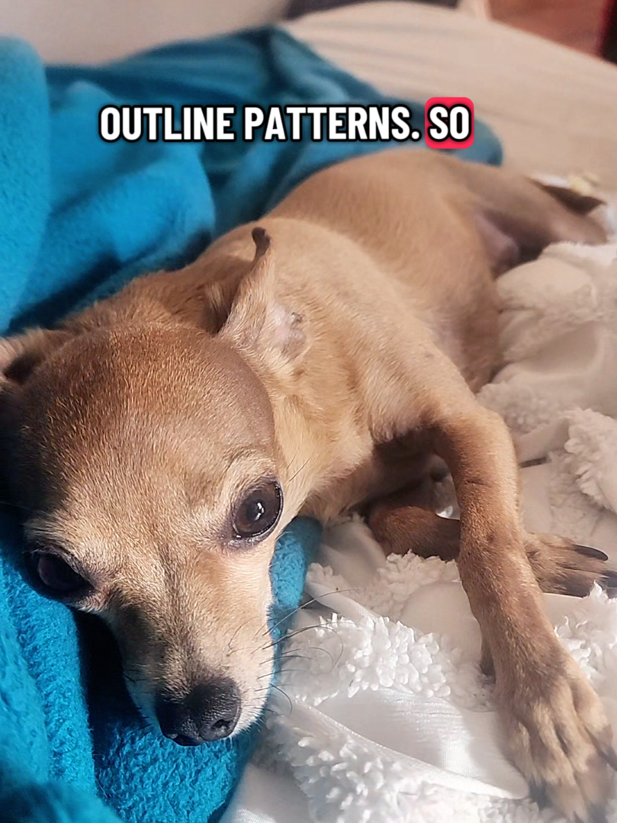 @Ann O'Brien 💻📚🐕