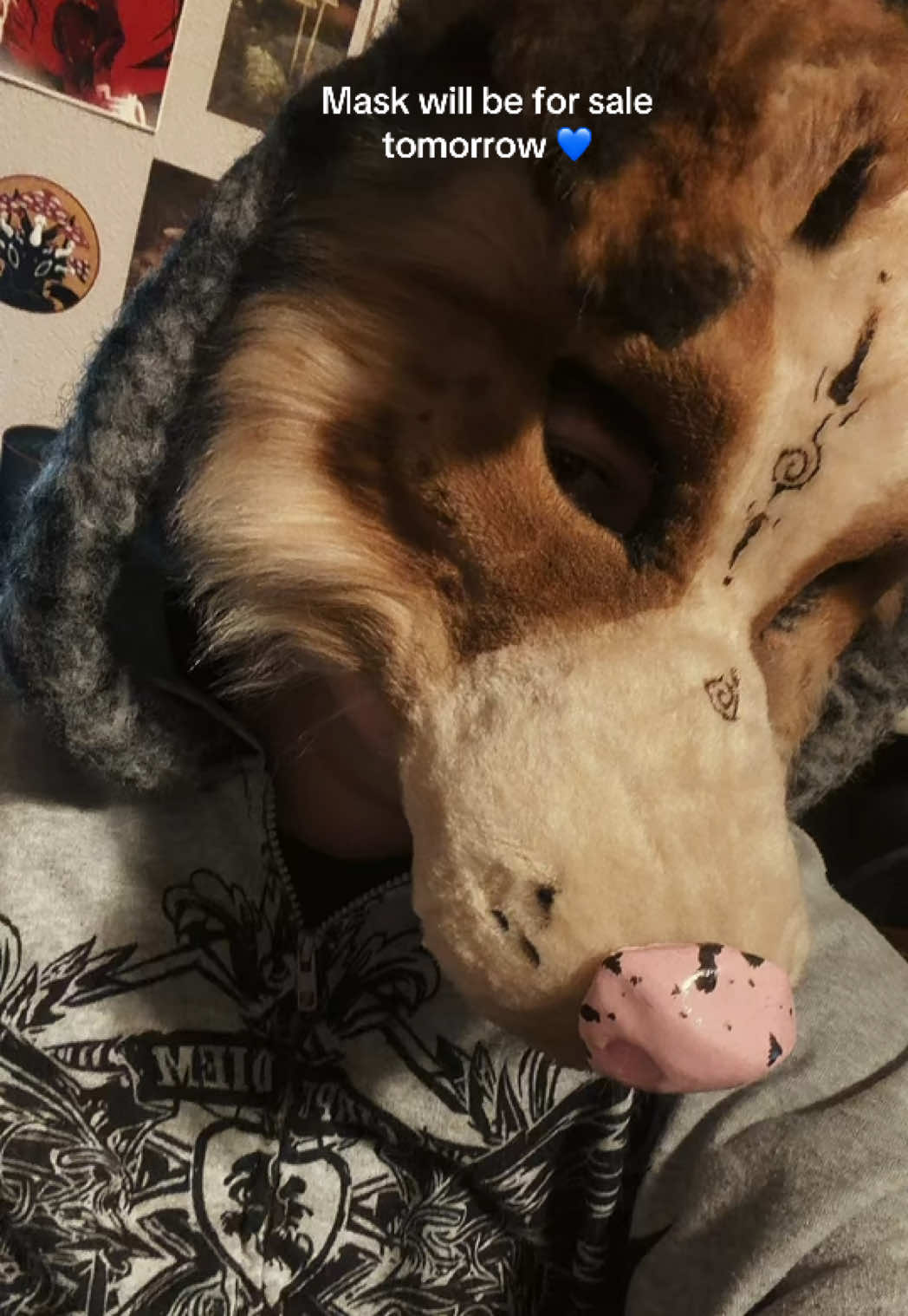 @RoadKill Creations Fursuits