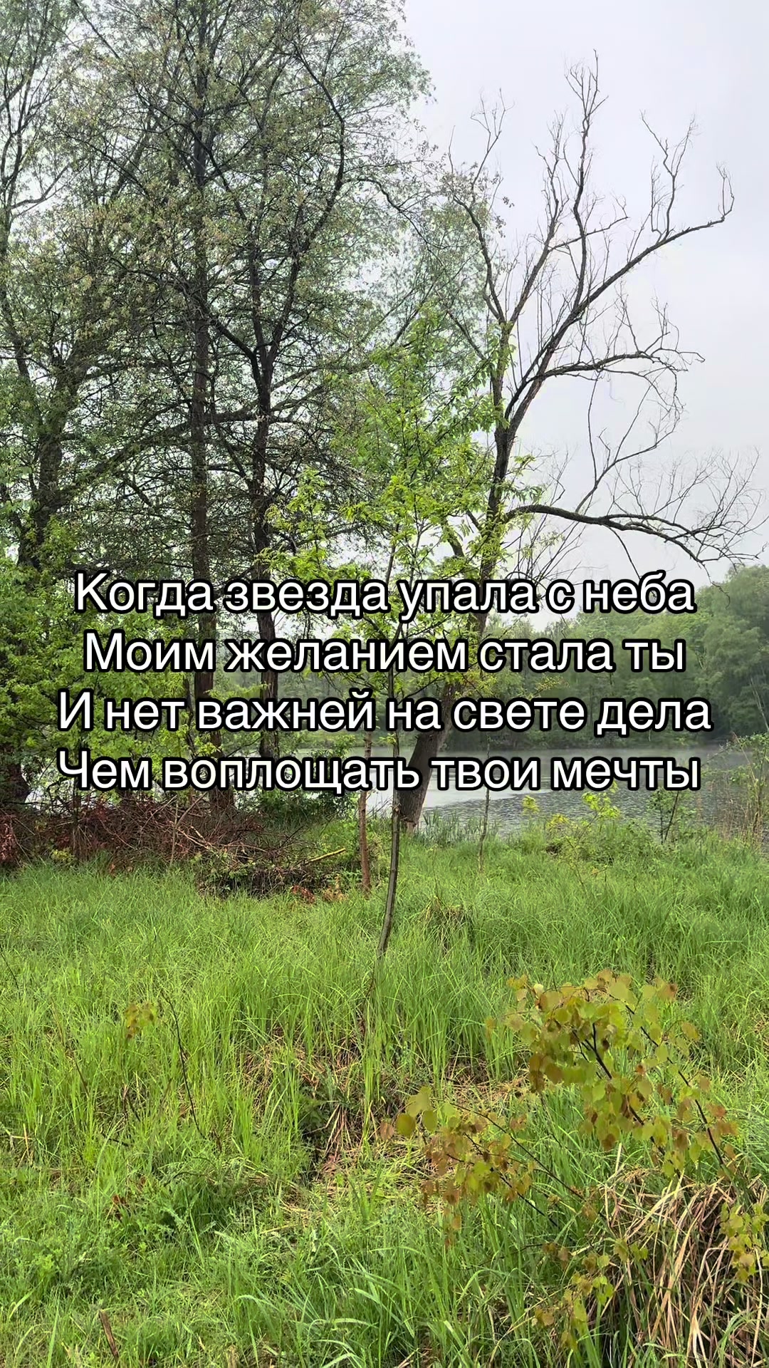@Алексей