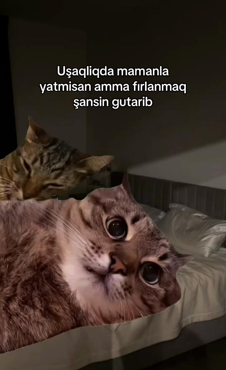 @𝐓.𝐀ྀིྀི