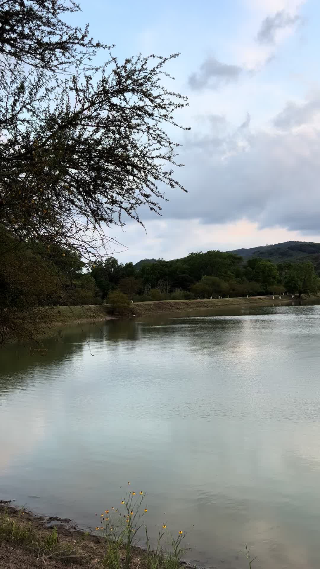 @santosaly10