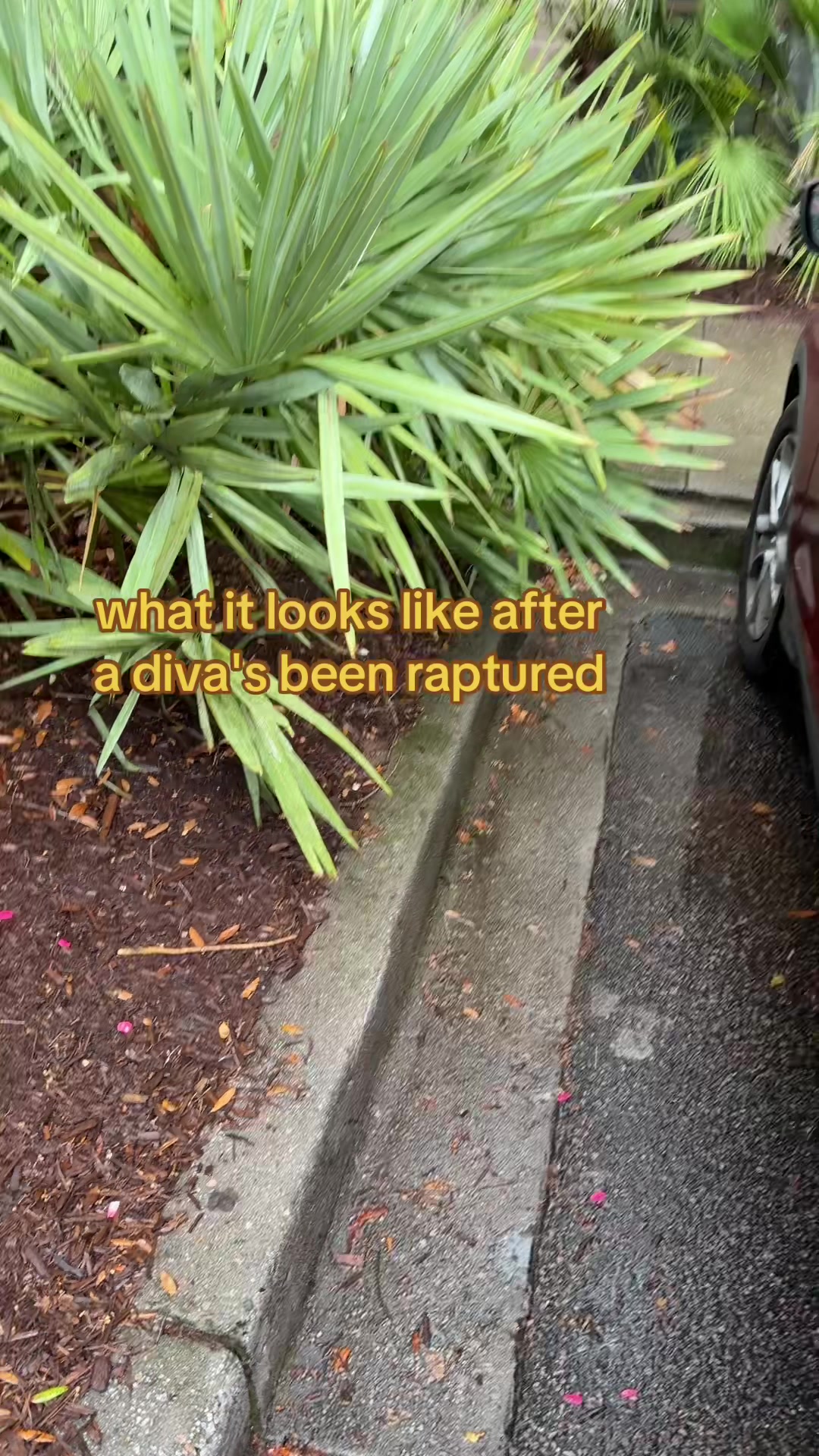 @Britttttaaaa