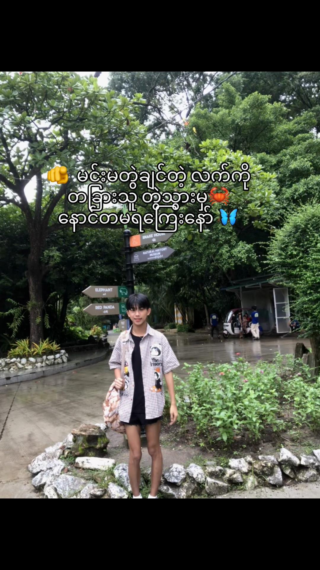 @Lin Lin
