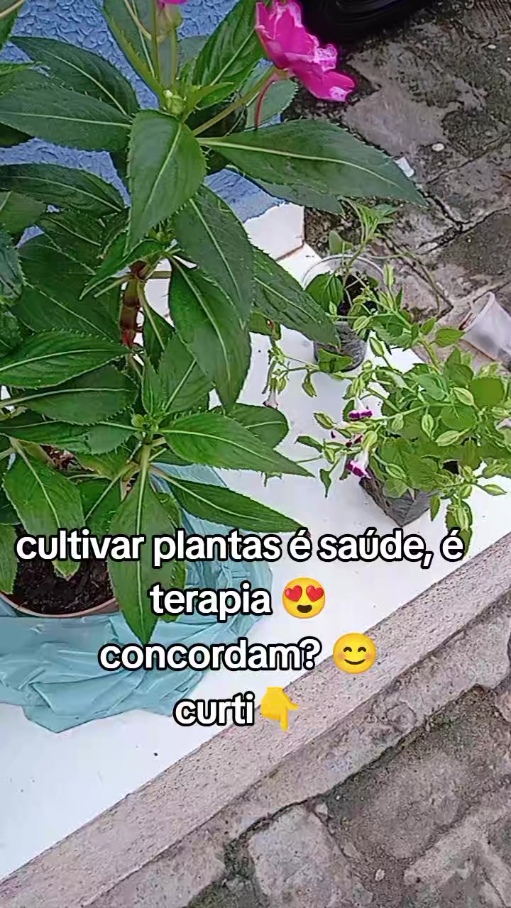 @roany marques 👑