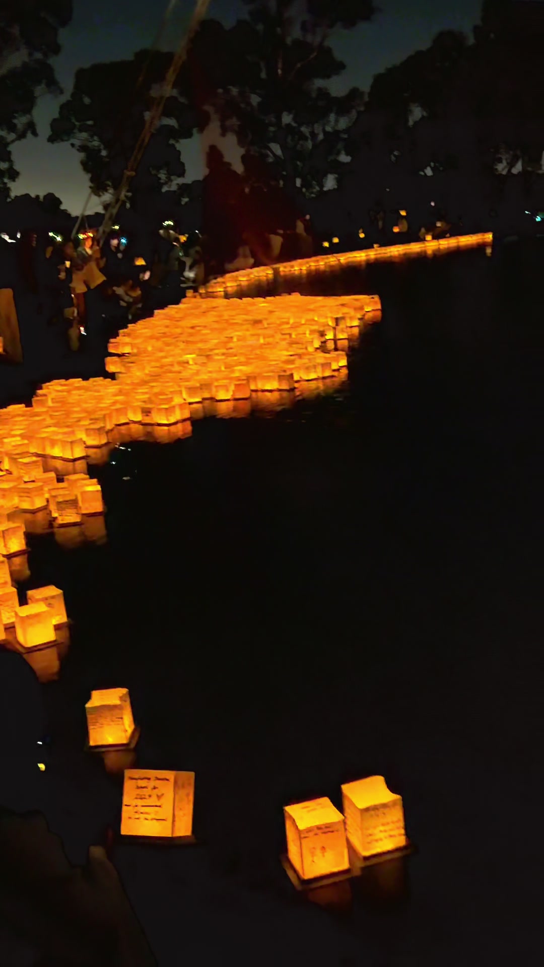 @𝐅𝐥𝐨𝐫𝐚 𝐅𝐥𝐨𝐫𝐚𝐥
