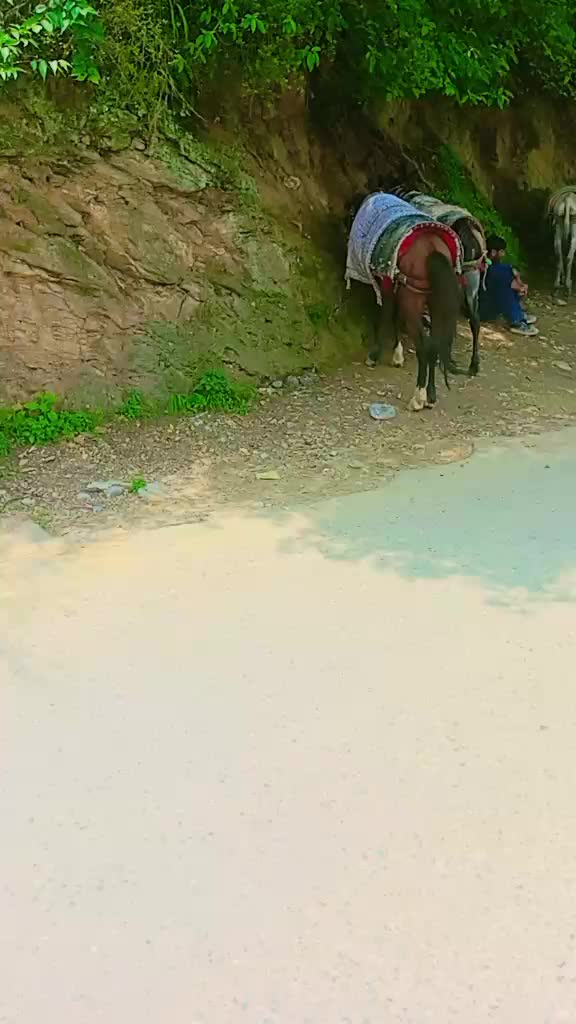 @khizzar malik 7290