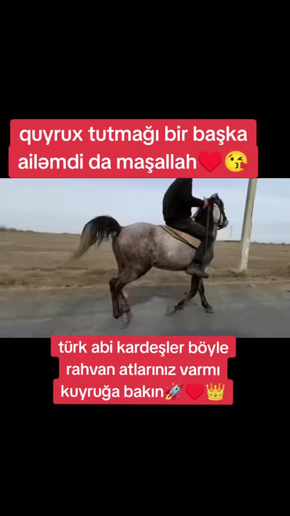 @♘𝐀𝐓 𝐇Ə𝐕Ə𝐒K𝐀𝐑𝐋𝐀𝐑𝐈♘