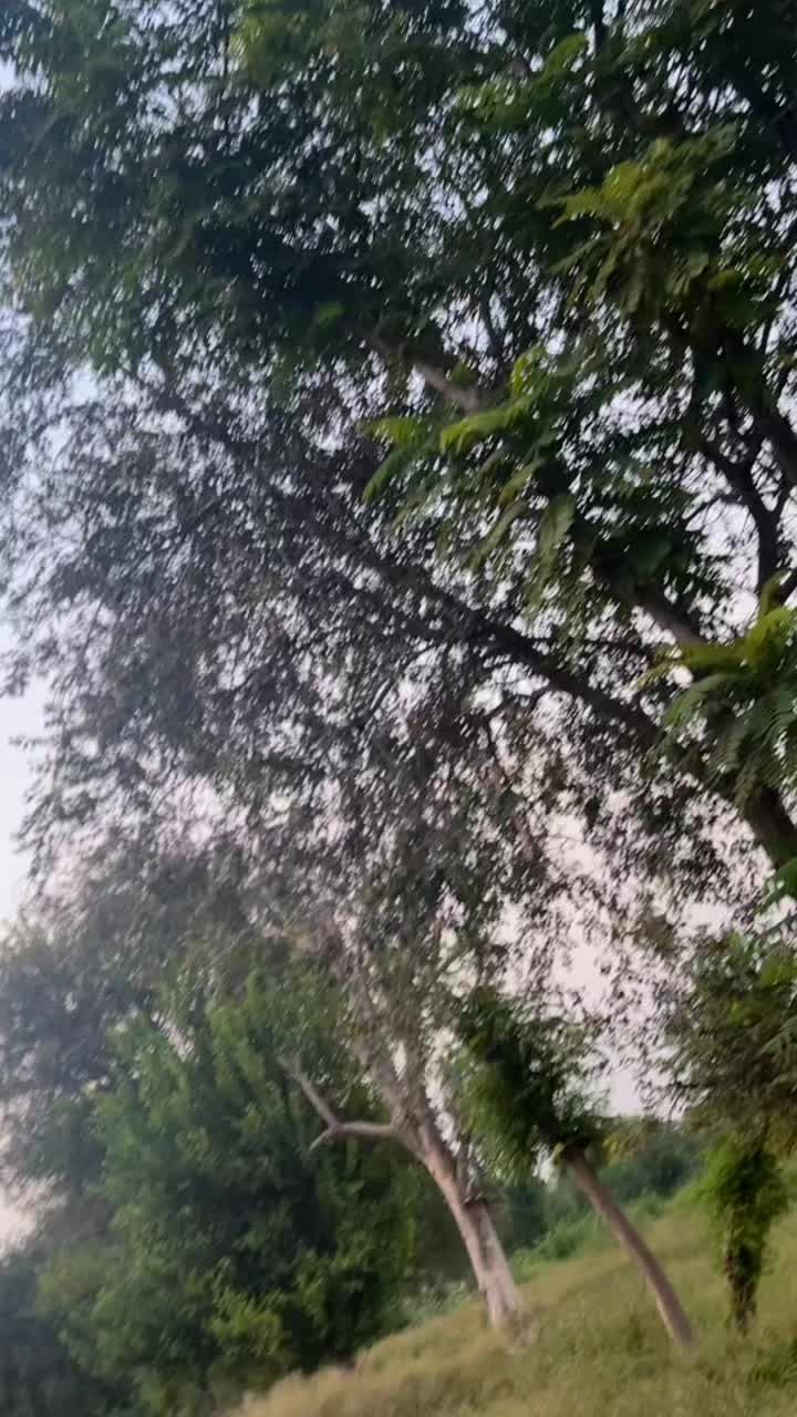 @🇹🇷موسیٰ&sup1;⁰&sup1; 🦅