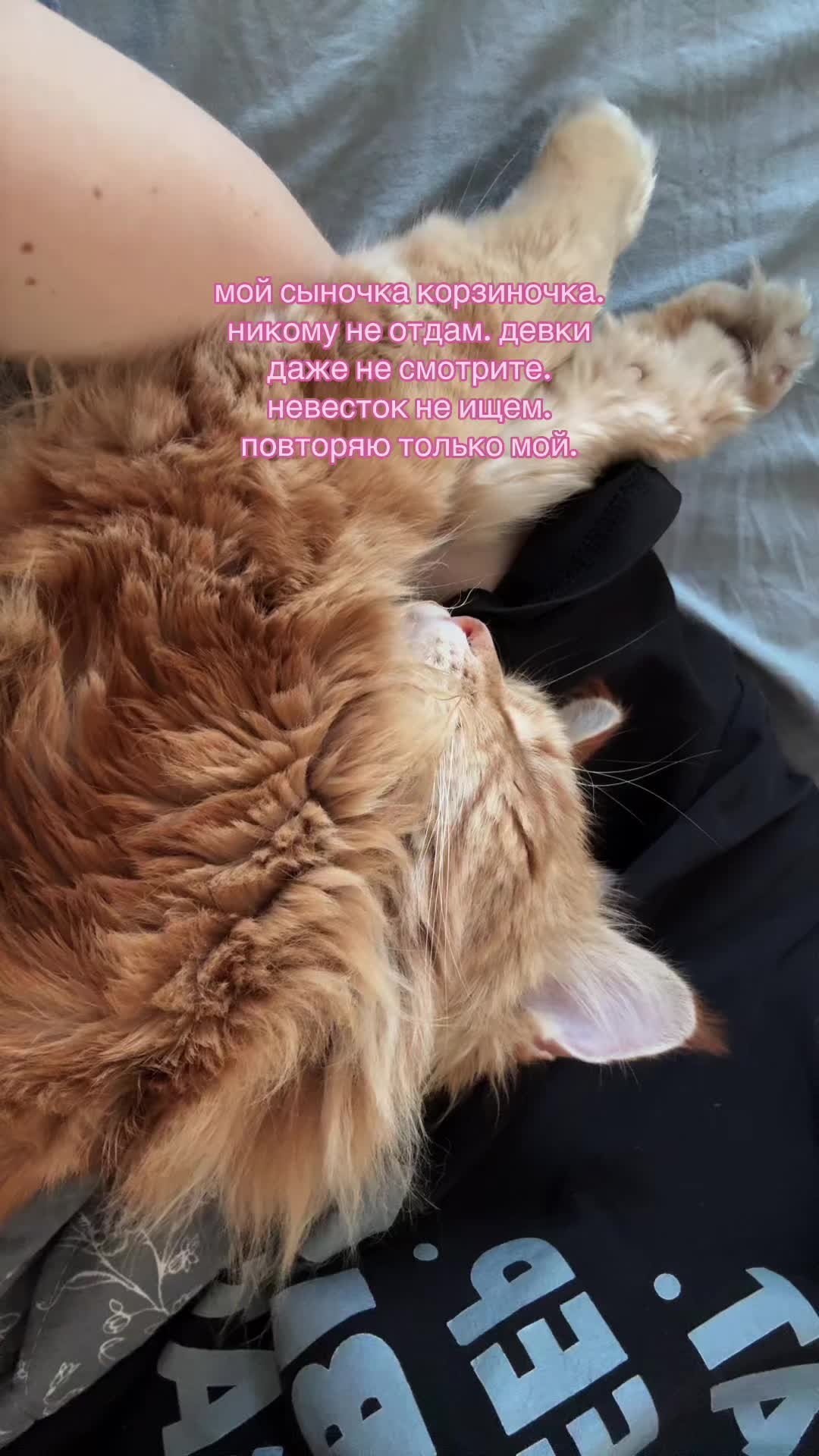 @murmureduclairdelune