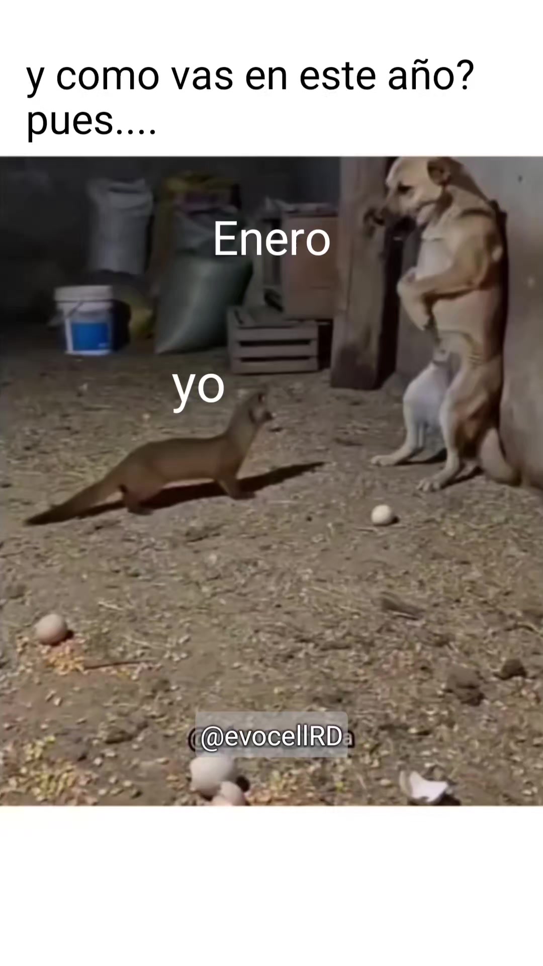 @EvocellRD