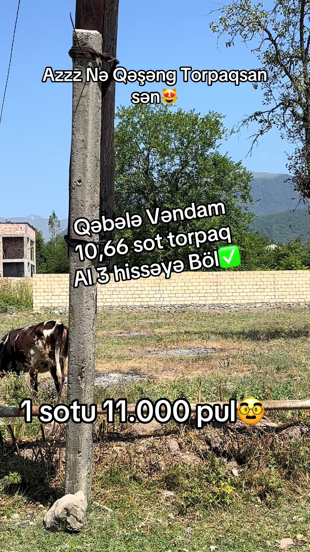 @rr_emlak_qebele600