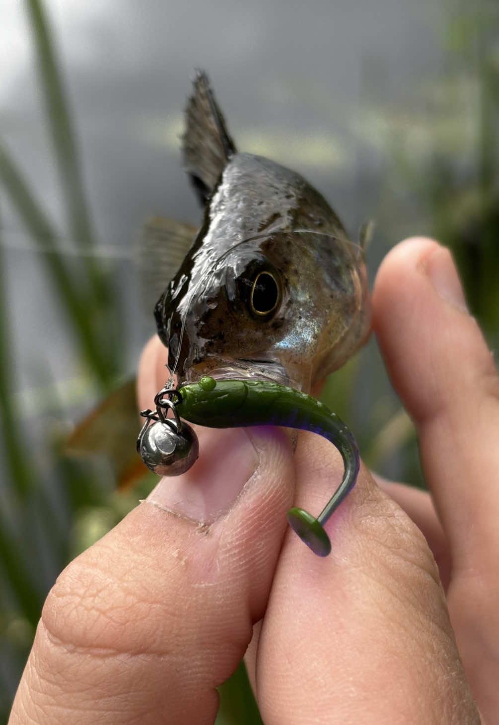 @Максим FastFisher